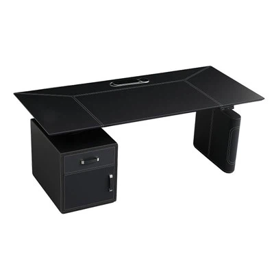 Electric Up Down Desk