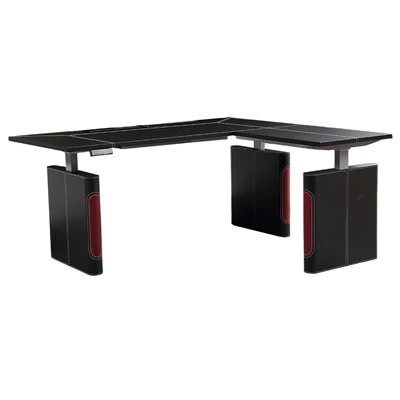 Large Electric Standing Desk